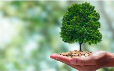 Licenciamento Ambiental