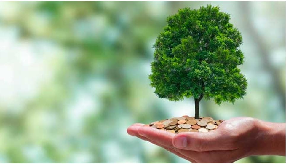 Licenciamento Ambiental