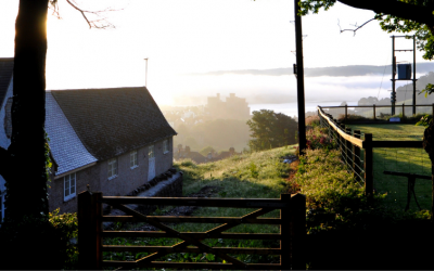 O Locador/Locatário morreu! E agora? Como fica meu contrato de locação?